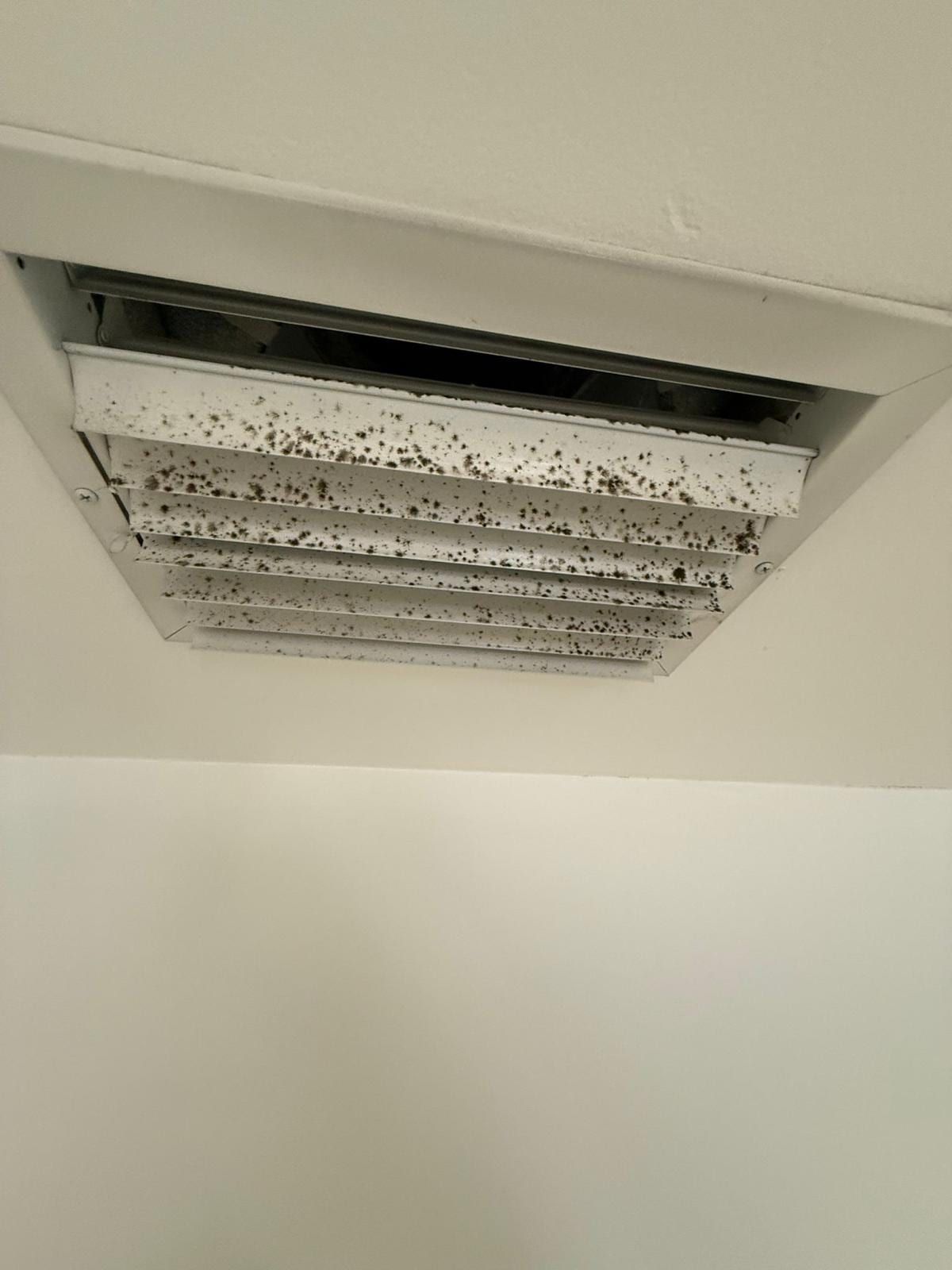 Ceiling register with dark speckled staining on its louvers